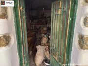 Platanos Kreta, Platanos, freistehendes renovierungsbedürftiges Wohnhaus 144m² Wfl. Haus kaufen